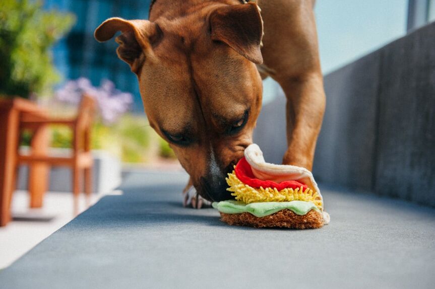 Le Tacos