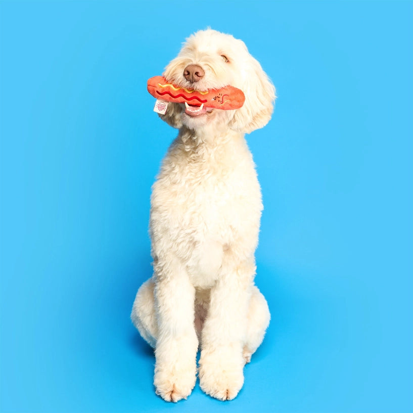 Hot Doggie