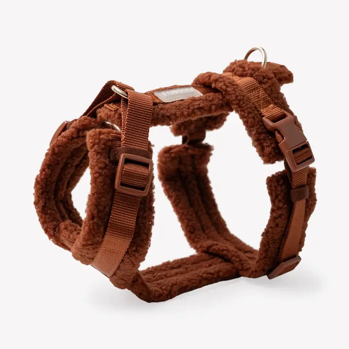 Harnais Sherpa - Clay
