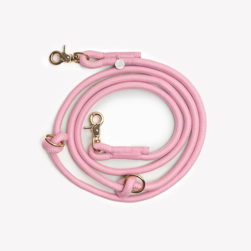 Laisse mains libres - Rose