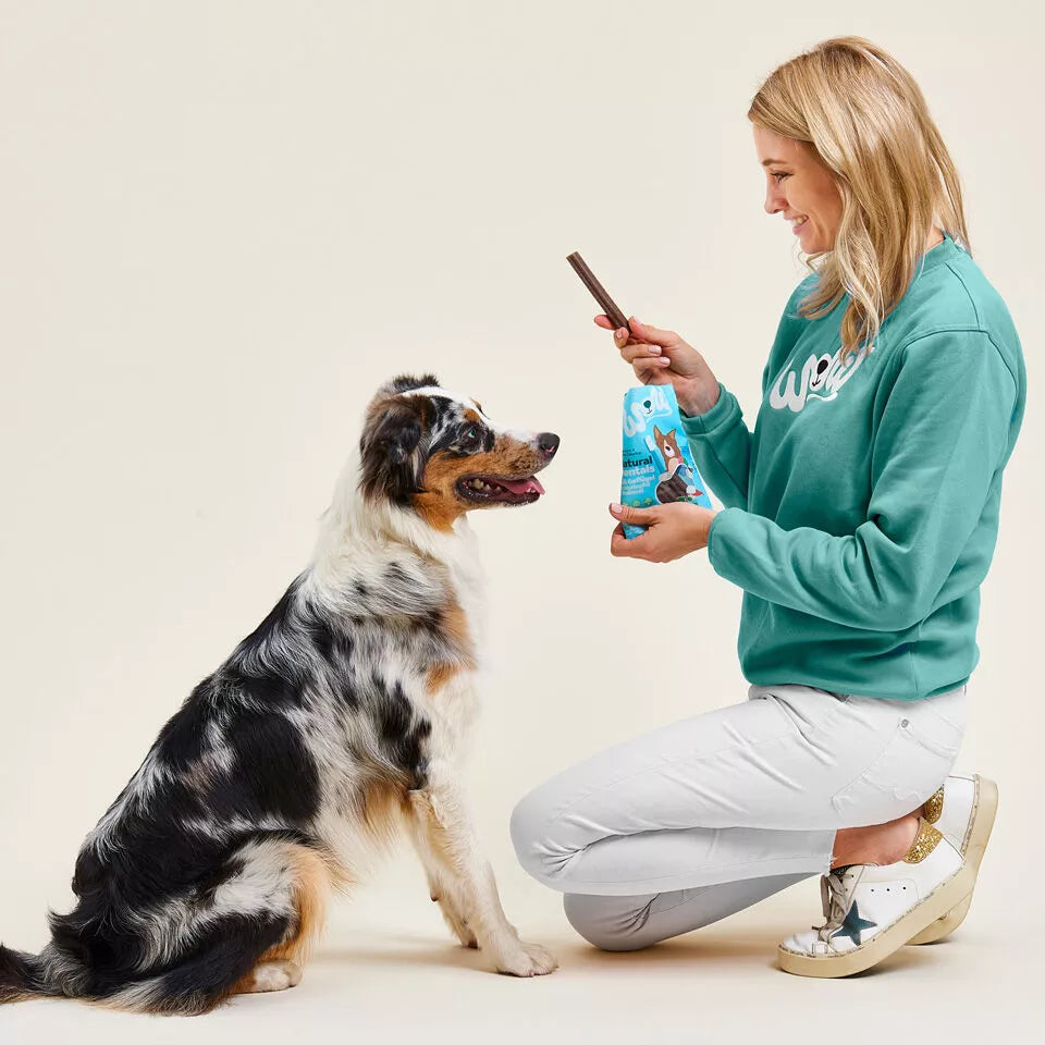 Dental Stick