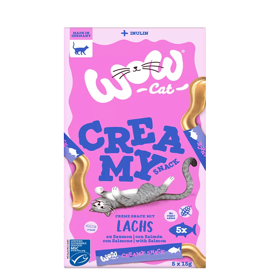 Le Creamy Saumon