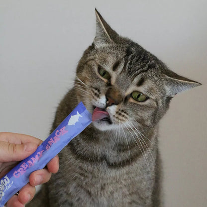 Le Creamy Saumon