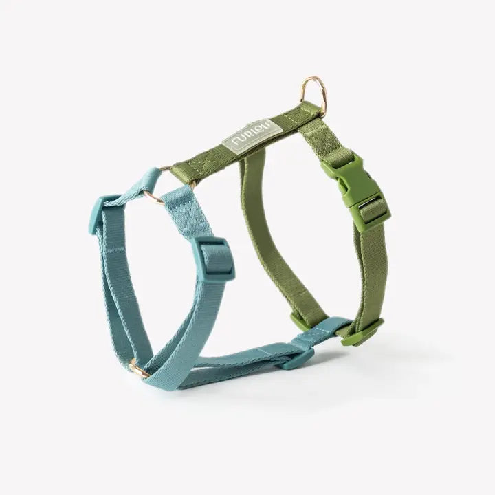 Harnais Blue &amp; Green