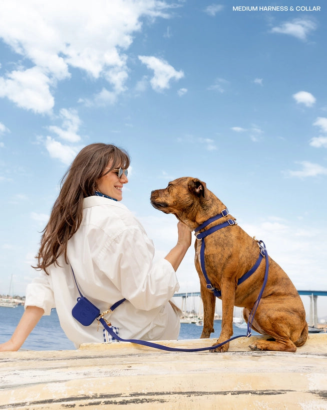 Harnais imperméable Navy