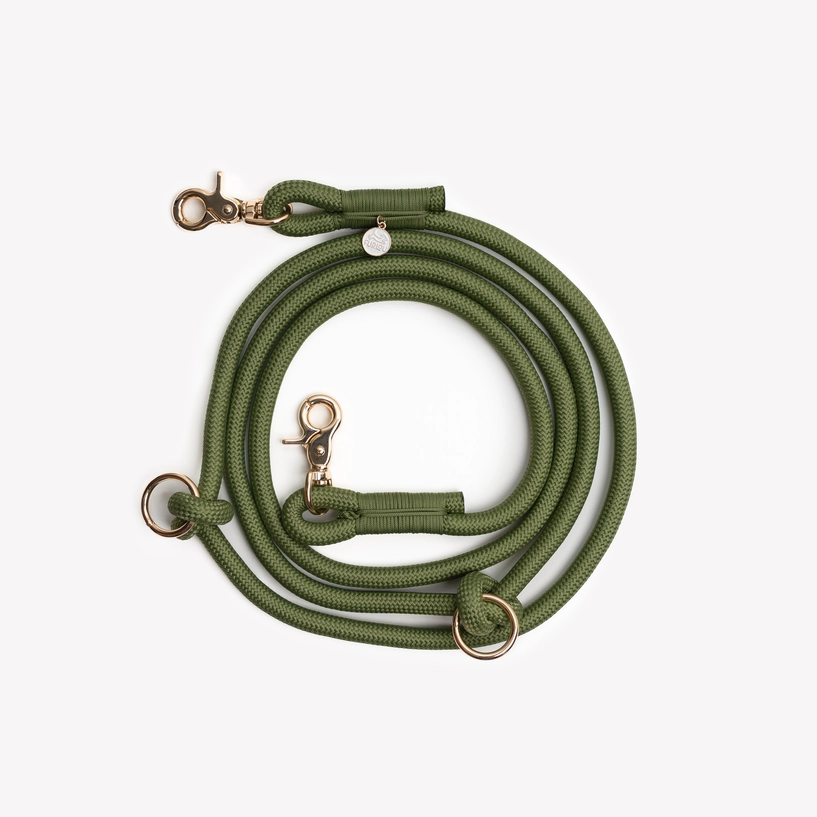 Laisse mains libres - Green