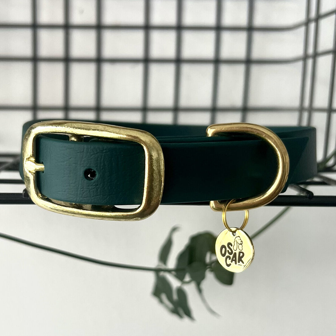 Collier Biothane®  Emeraude