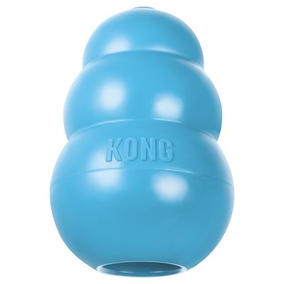 Kong Puppy