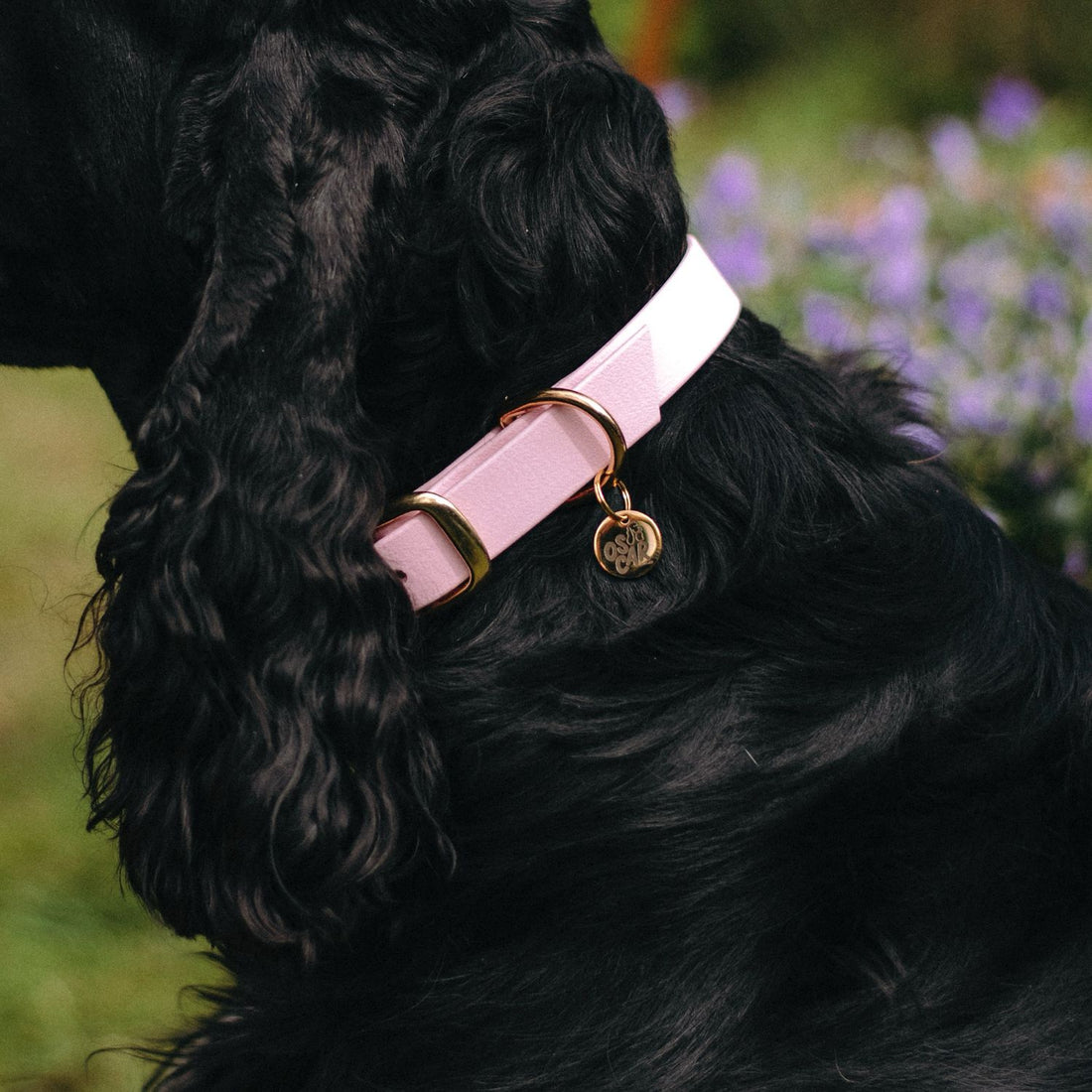 Collier Biothane® Baby Rose