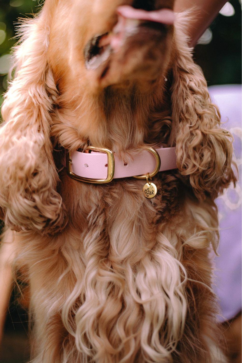 Collier Biothane® Baby Rose