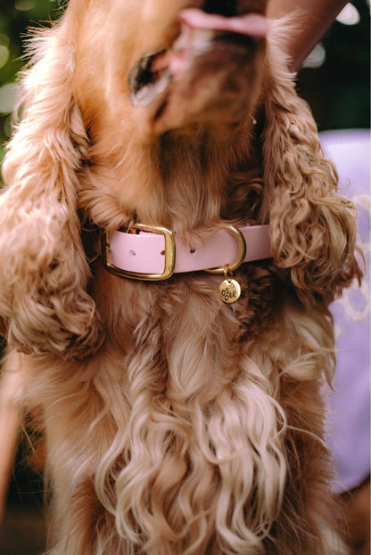 Collier Biothane® Baby Rose