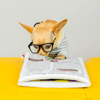Le Journal