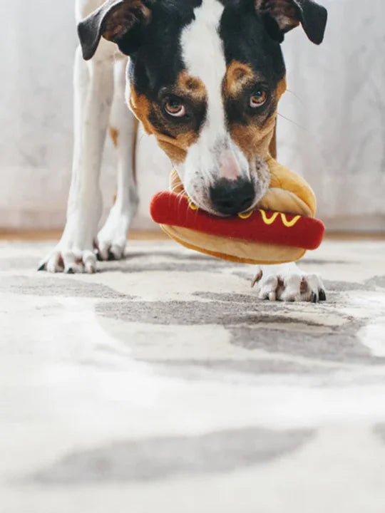 Hot Dog
