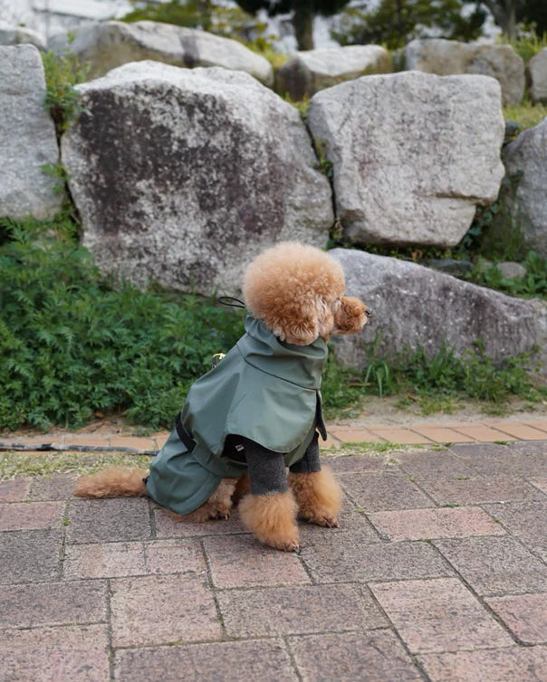Imperméable Vert