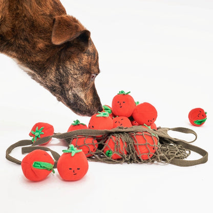 Cherry Tomato