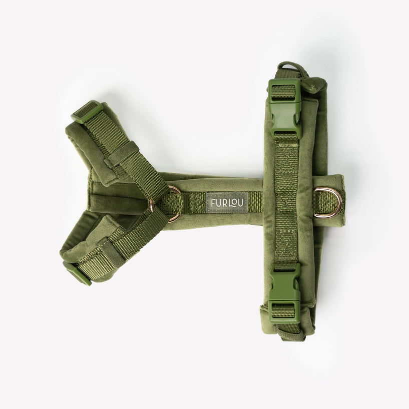 Harnais Velvet - Green