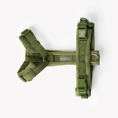 Harnais Velvet - Green