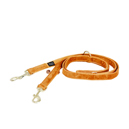 Laisse Mains Libres Velvet