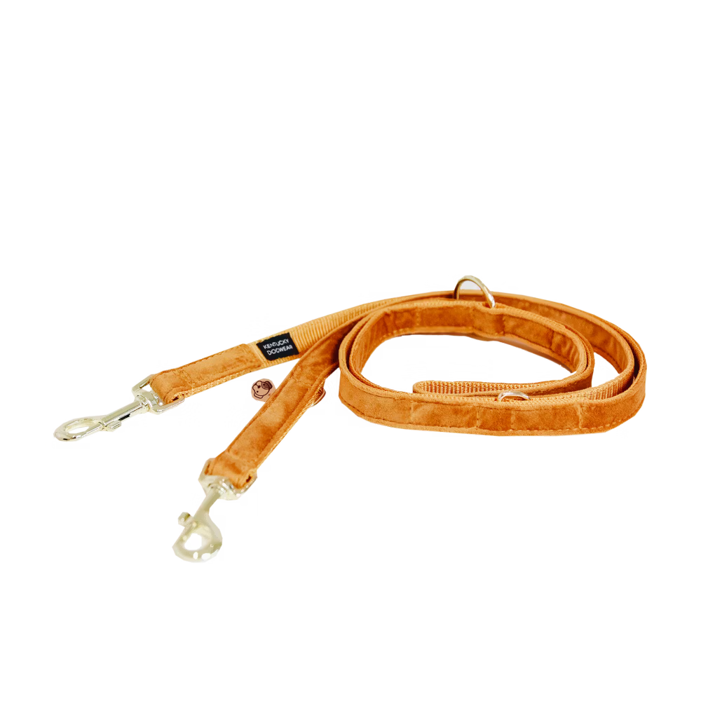 Laisse Mains Libres Velvet