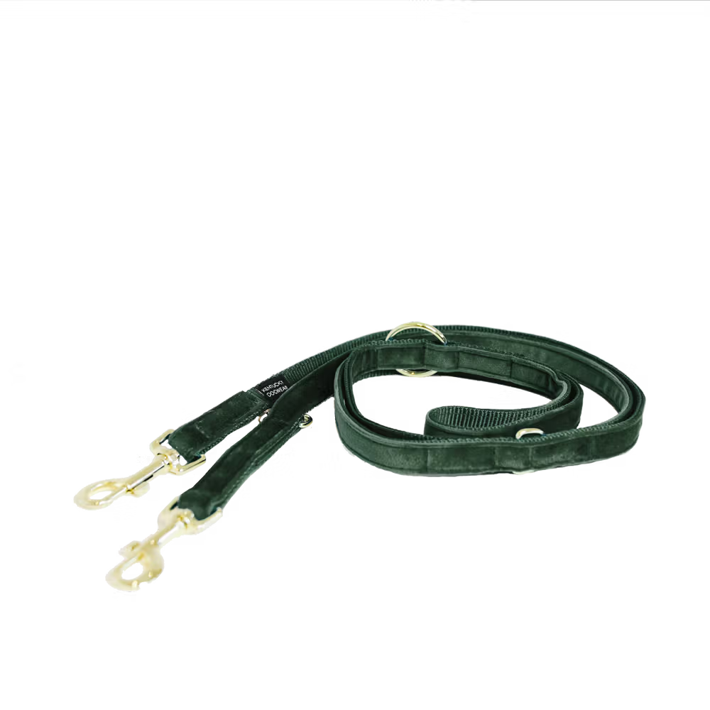 Laisse Mains Libres Velvet