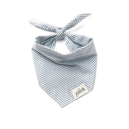 Bandana Breezy