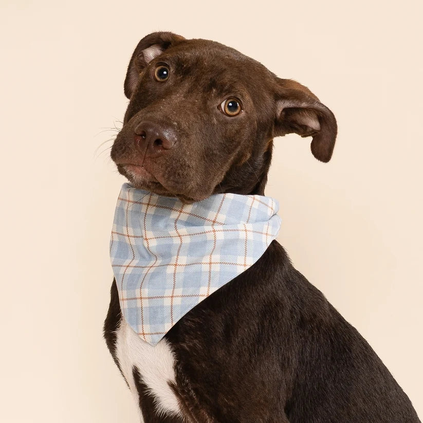 Bandana Harlowe