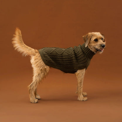 Pull en alpaga - Aran Vert Forêt