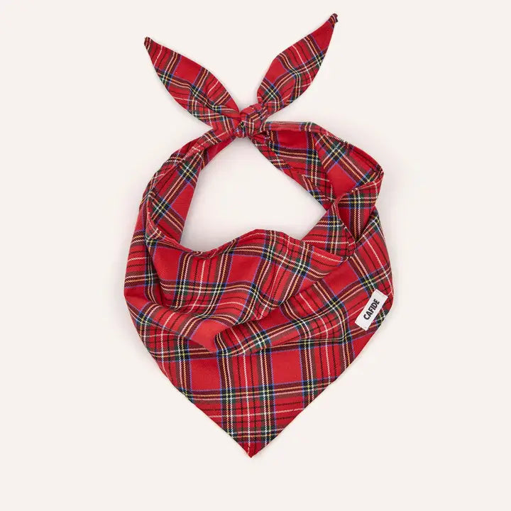 Bandana Tartan - Royal Stewart