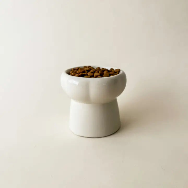 Bol à nourriture en céramique