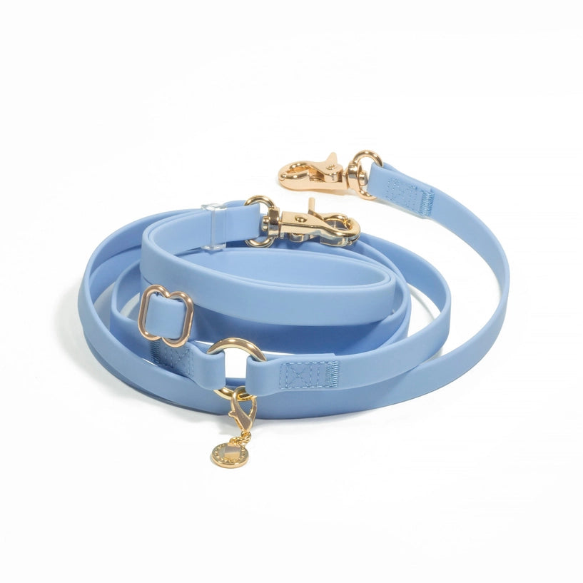 Laisse Mains Libres ajustable - Bleu