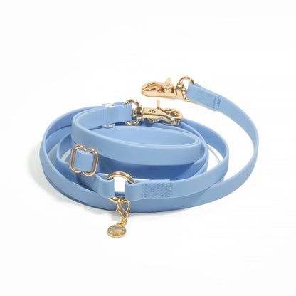 Laisse Mains Libres ajustable - Bleu