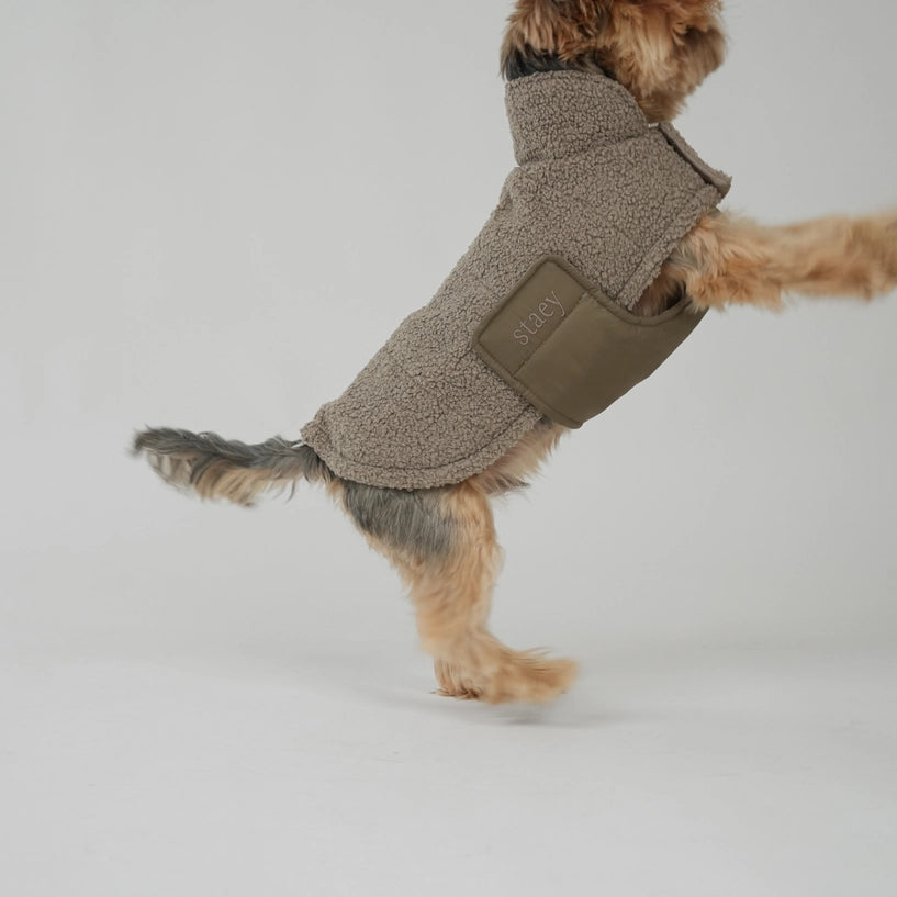 Manteau Teddy