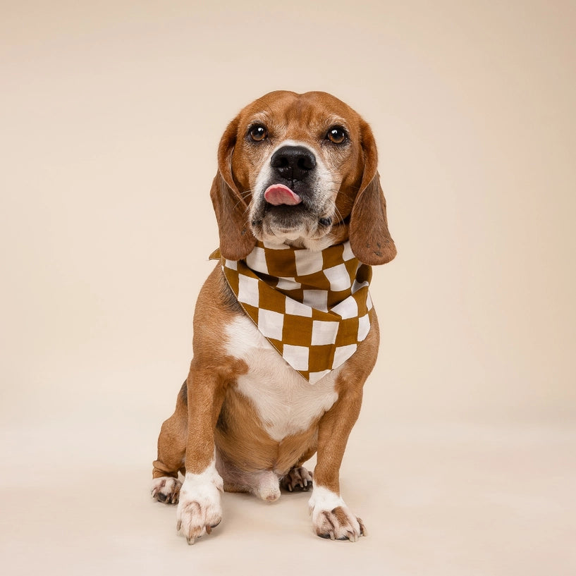 Bandana Legend - Cacao