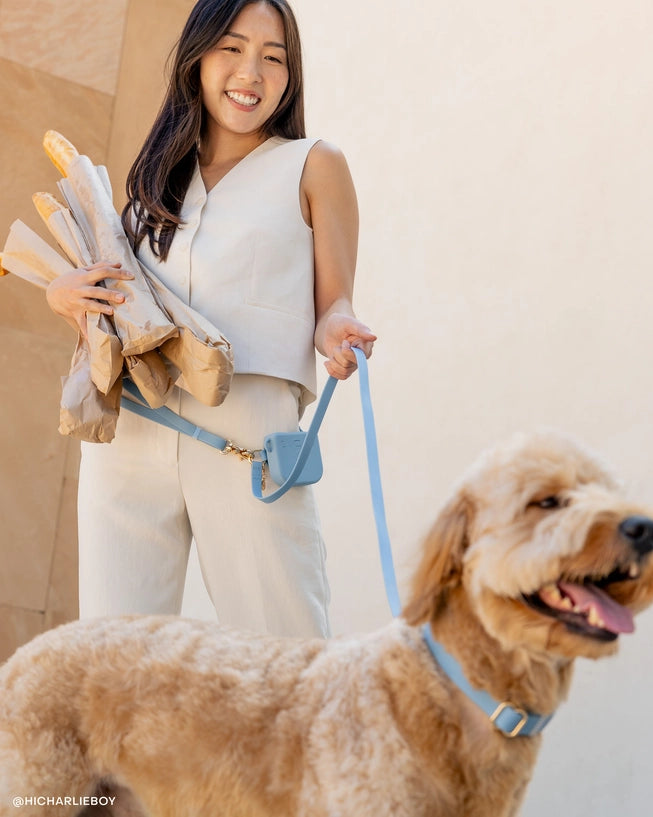 Laisse Mains Libres ajustable - Bleu