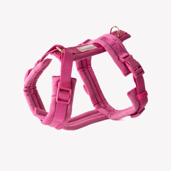 Harnais Velvet - Magenta