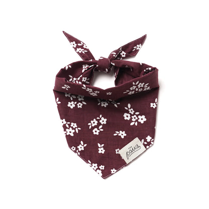Bandana Chatham