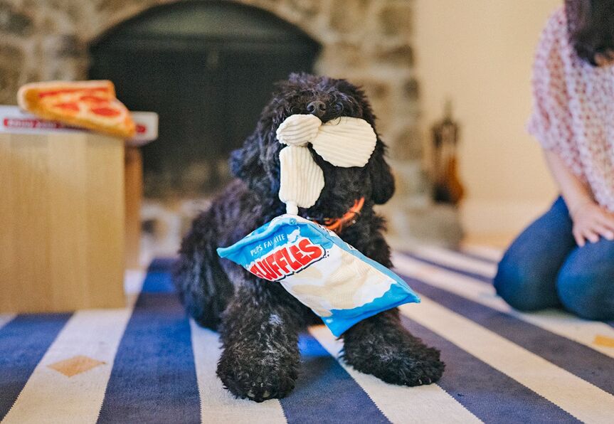 Chips