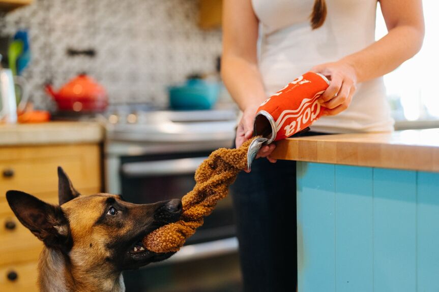 La bouteille de Cola