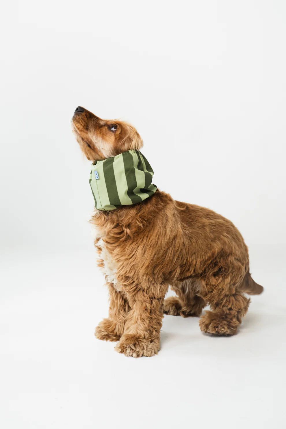 Snood Coton Rayé