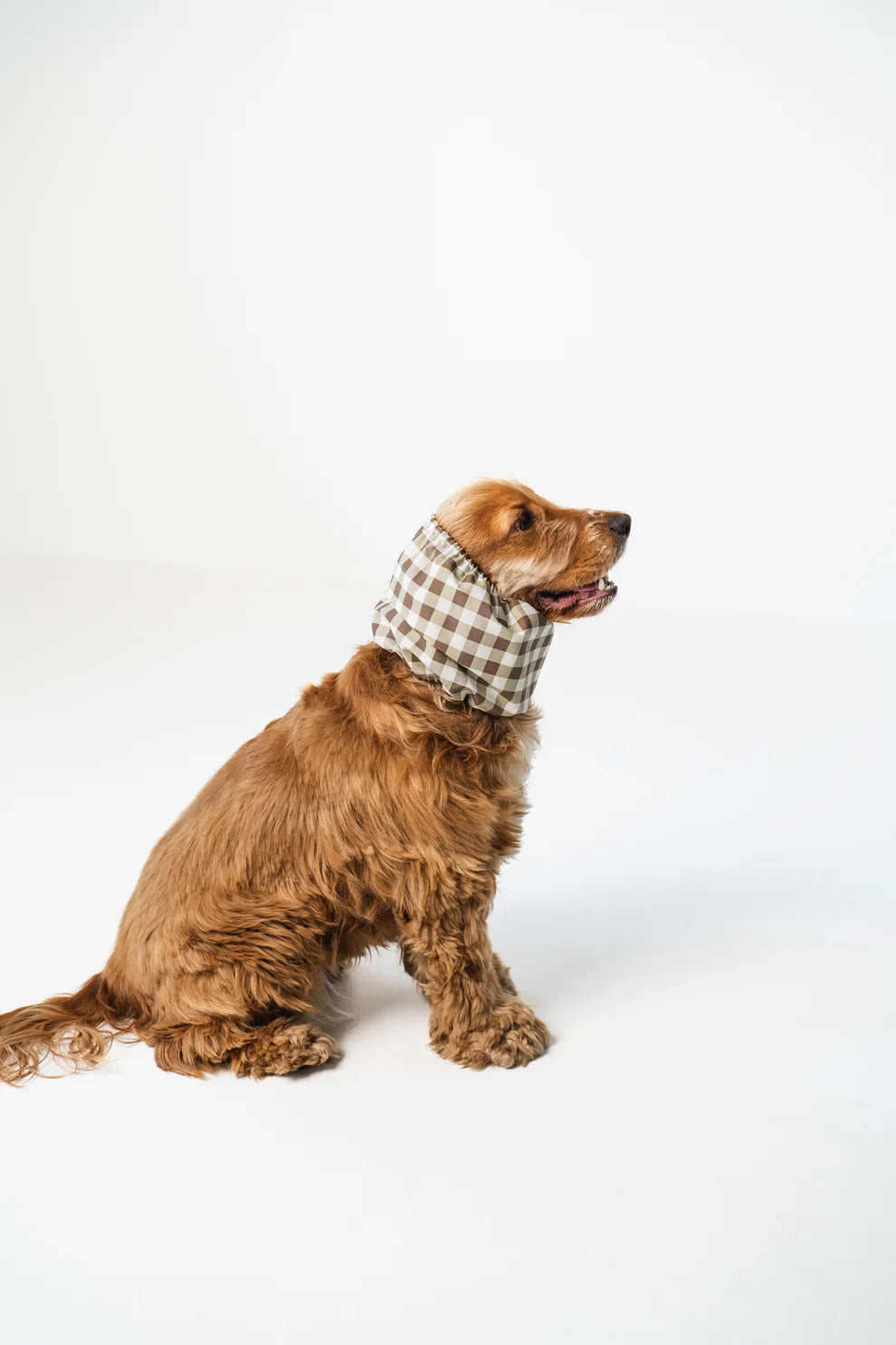 Snood Coton Vichy Marron