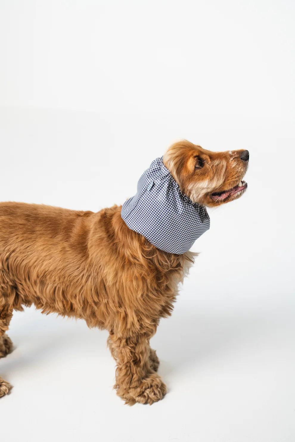Snood Vichy Imperméable
