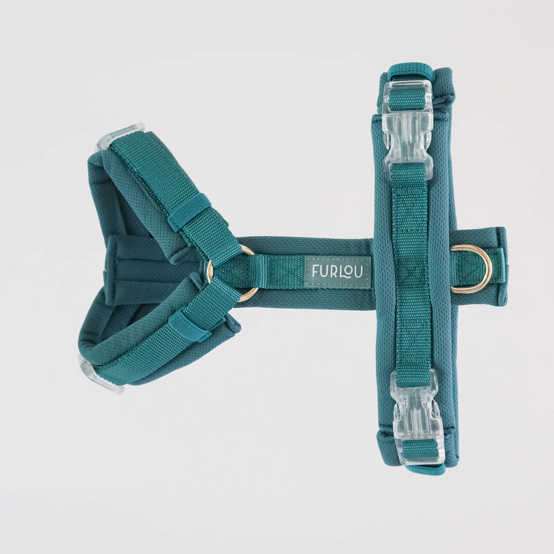 Harnais Comfort - Teal