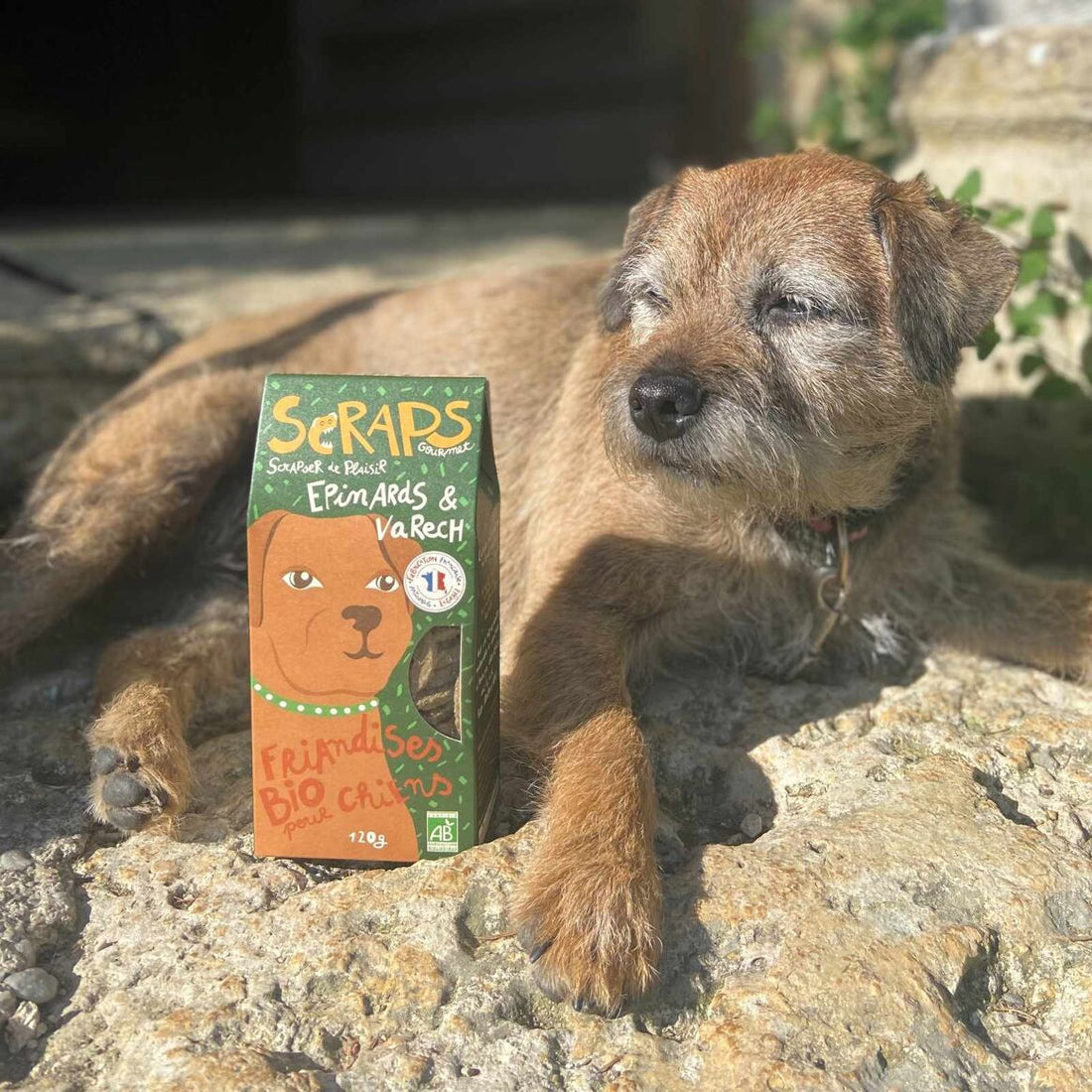 Friandises Epinards &amp; Varech