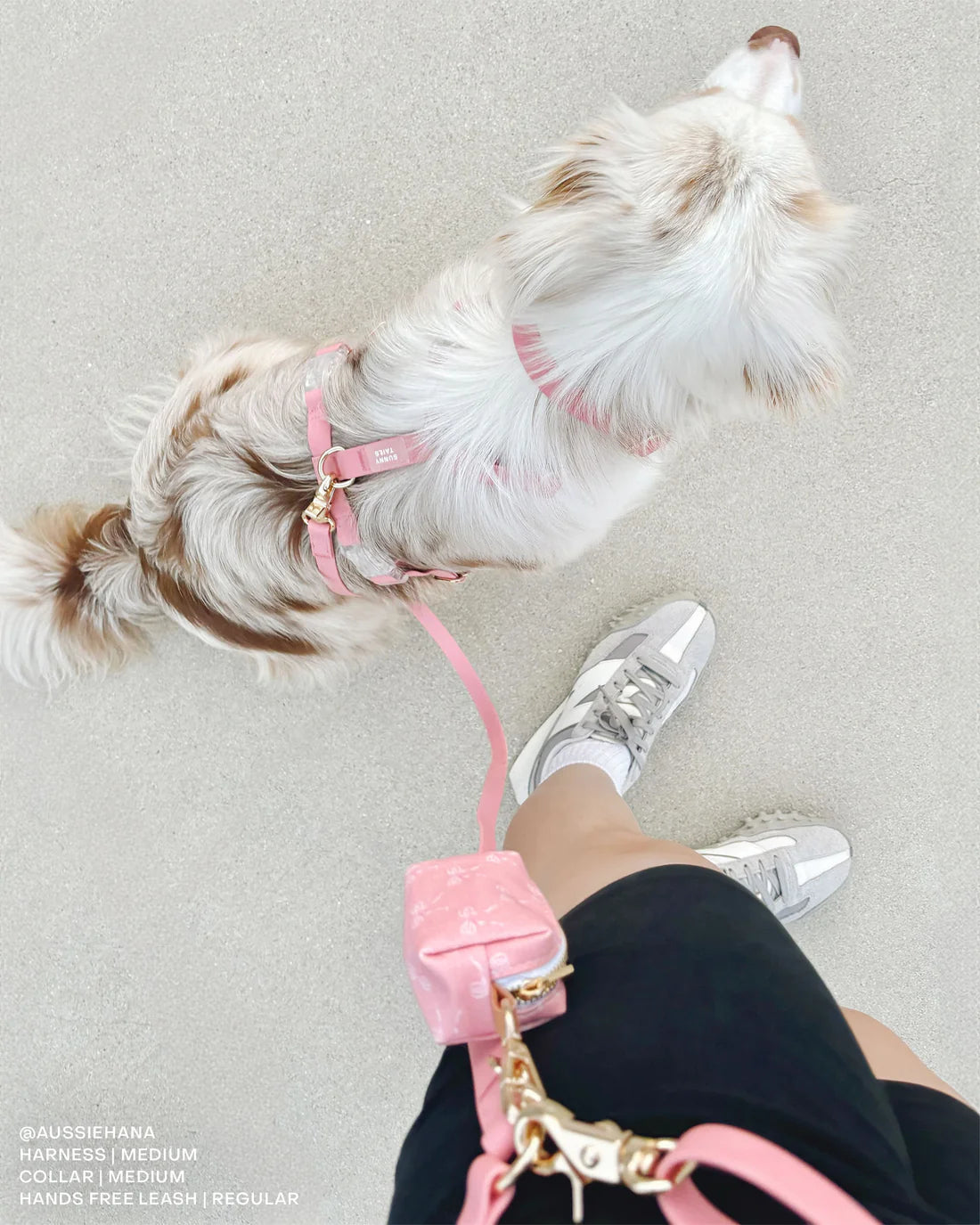 Laisse Mains Libres ajustable - Rose