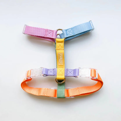 Harnais Arc en Ciel