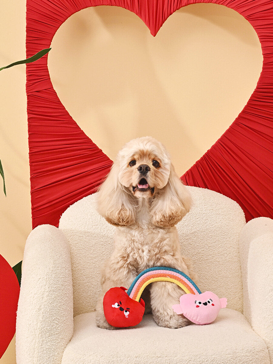 WOOF LOVE - Arc en ciel