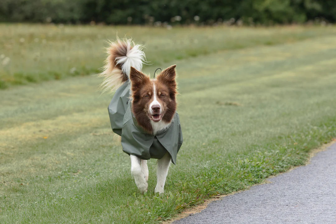 Imperméable Vert