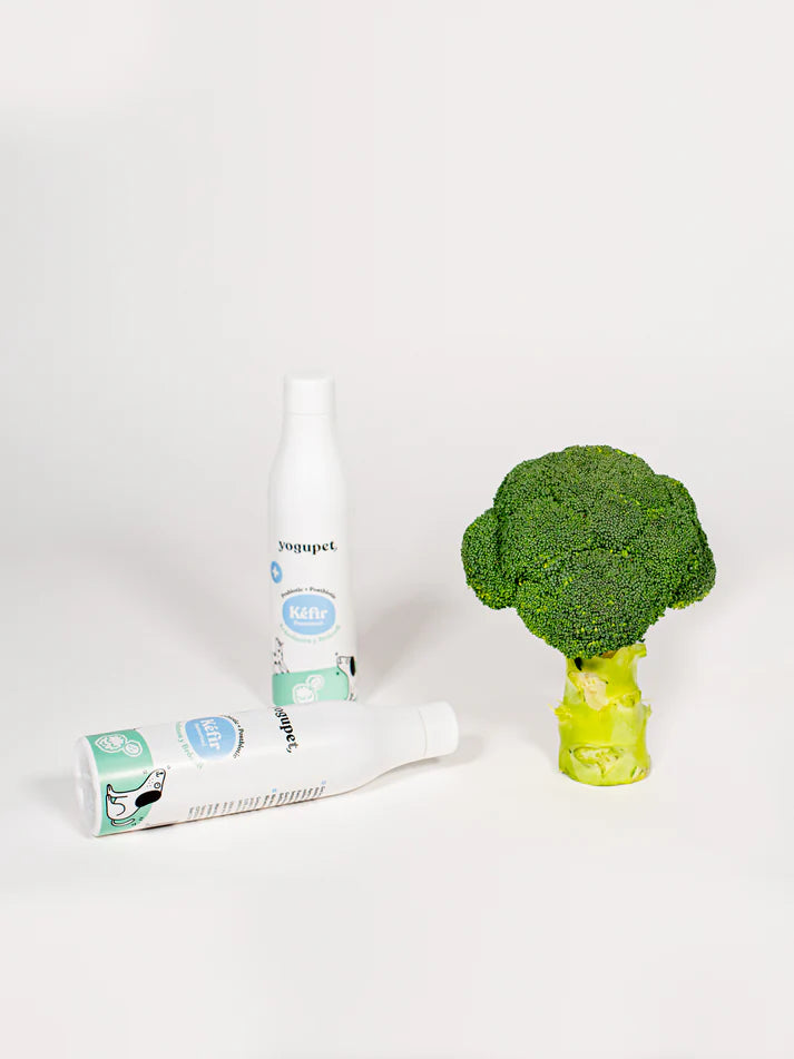 Kéfir Myrtille &amp; Brocoli