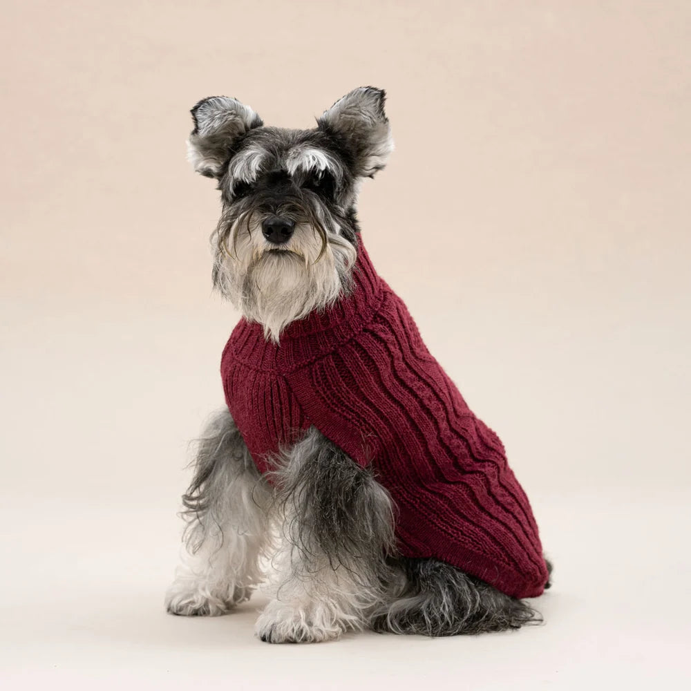 Pull en alpaga - Aran Bordeaux