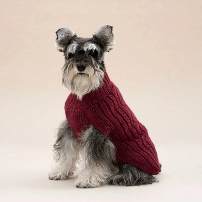 Pull en alpaga - Aran Bordeaux